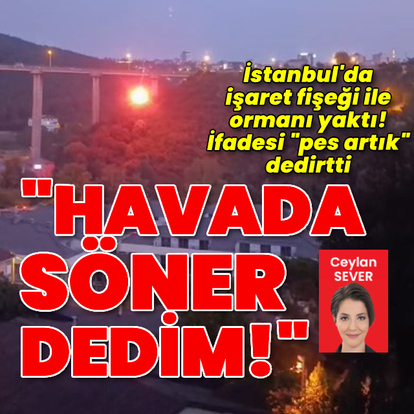 Beykoz'daki yangına tutuklama!