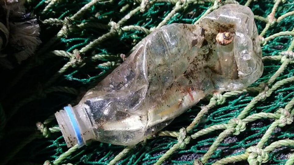 Sıfır Atık Vakfı'ndan "tek kullanımlık plastik" raporu