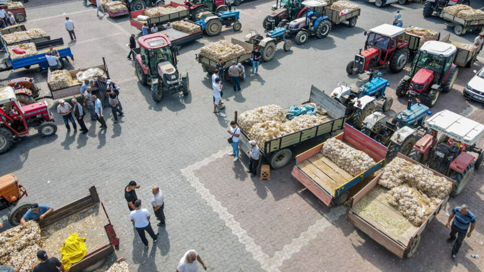 Taşköprü sarımsak pazarında yoğunluk