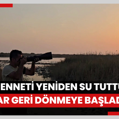 Milleyha Kuş Cenneti yeniden su tuttu, kuşlar geri dönmeye başladı