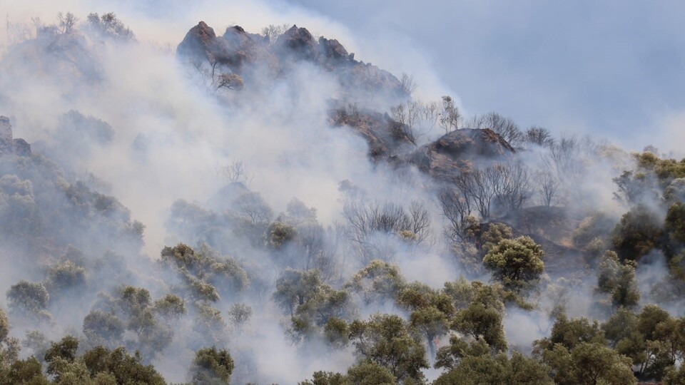 Bu kez Aydın'da dumanlar yükseldi!
