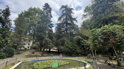 Türkiye'nin ilk arboretumu!