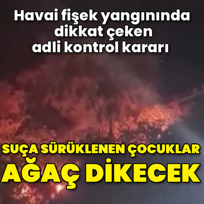 Suça sürüklenen çocuklar ağaç dikecek