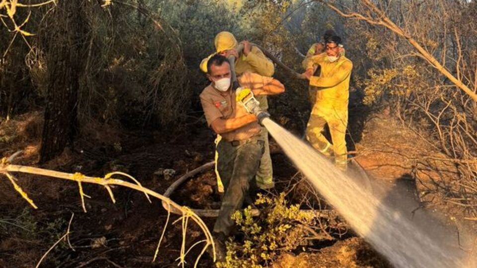 Denizli Tavas'ta orman yangını