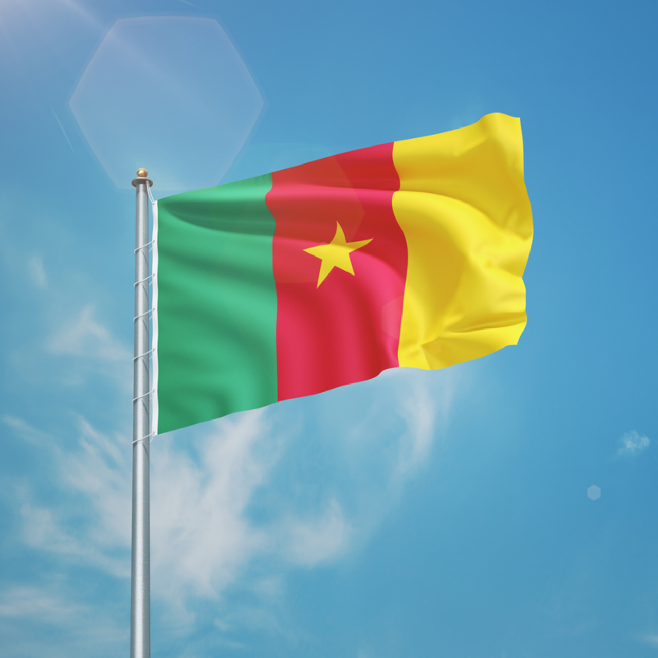 Kamerun bayrağı nedir?