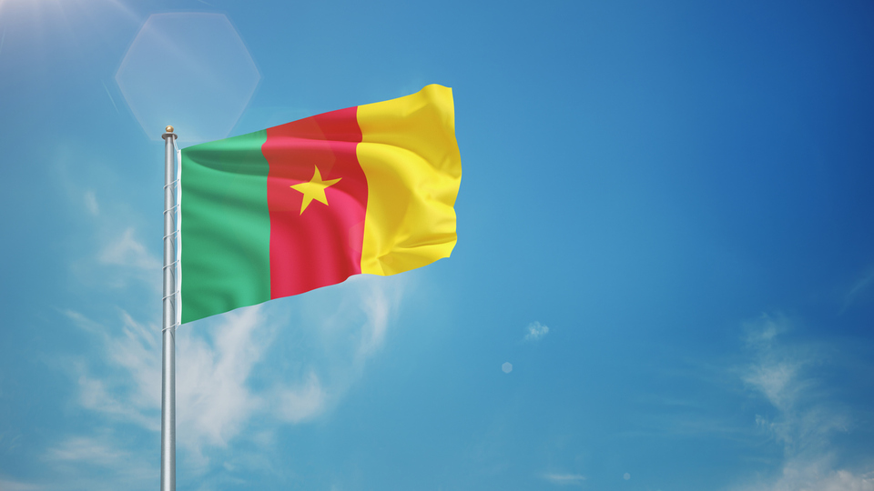 Kamerun bayrağı nedir?