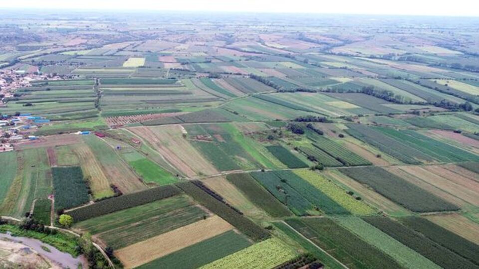 Çarşamba Ovası nerede?