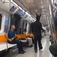 İfadesi ortaya çıktı: Maskeli partiden dönüyordum!