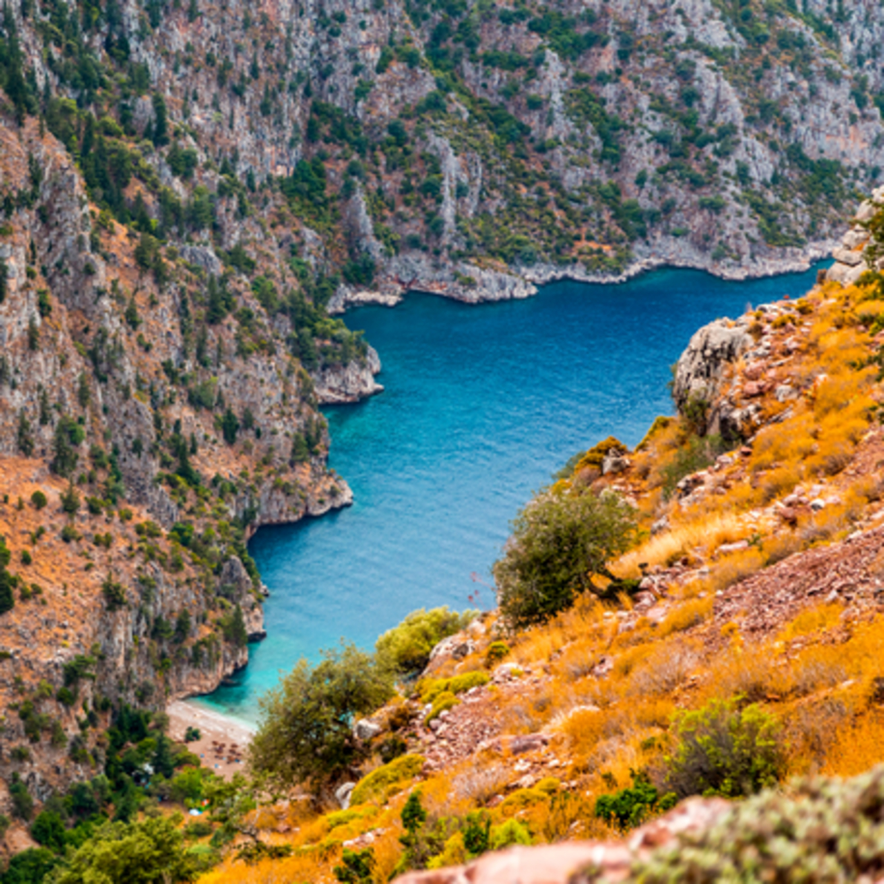 Kabak Koyu nerede?