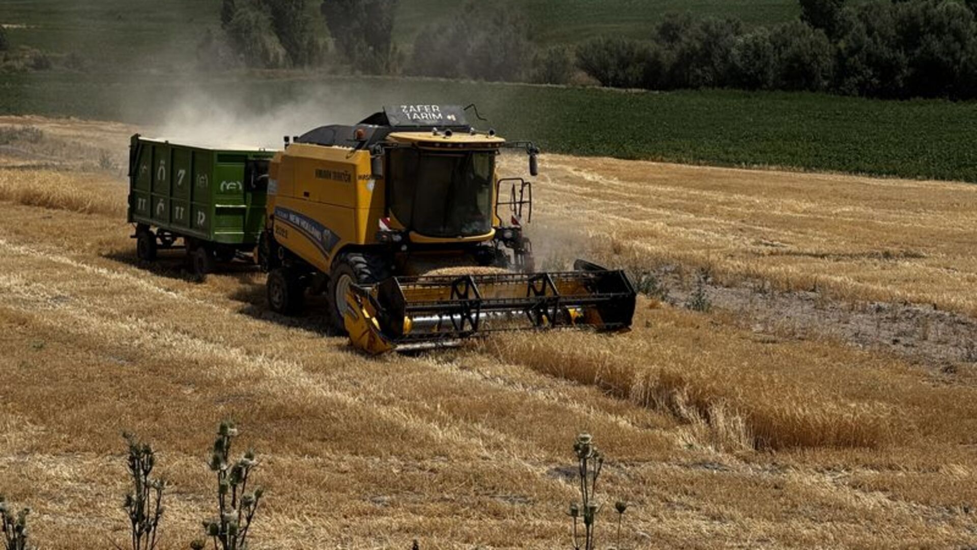 Kayseri'de Üretici Sayısı Patladı: 32 Bin Rakamına Ulaşıldı!
