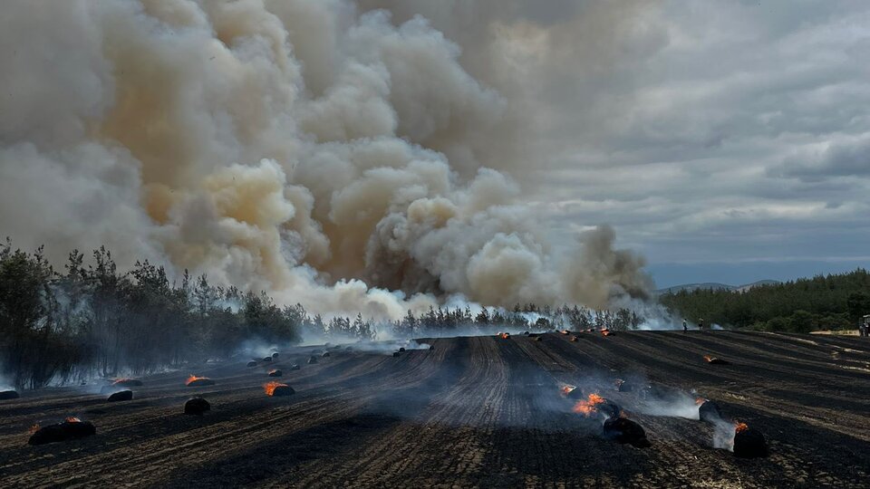 Bursa, Tekirdağ ve Bodrum'da yangın!