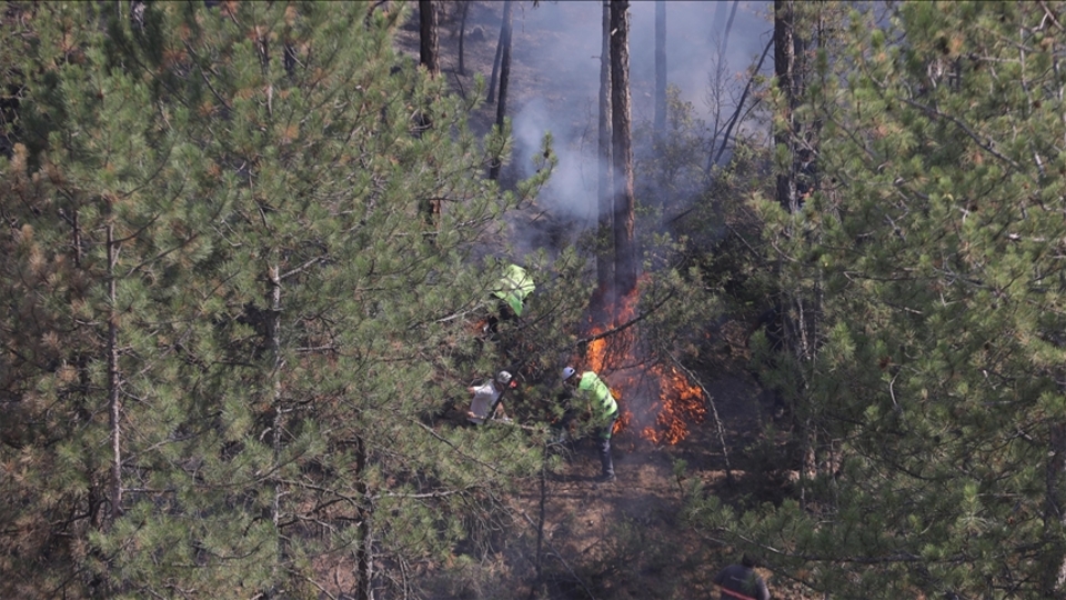 Orman yangınlarında dumana maruz kalanlara uyarı!