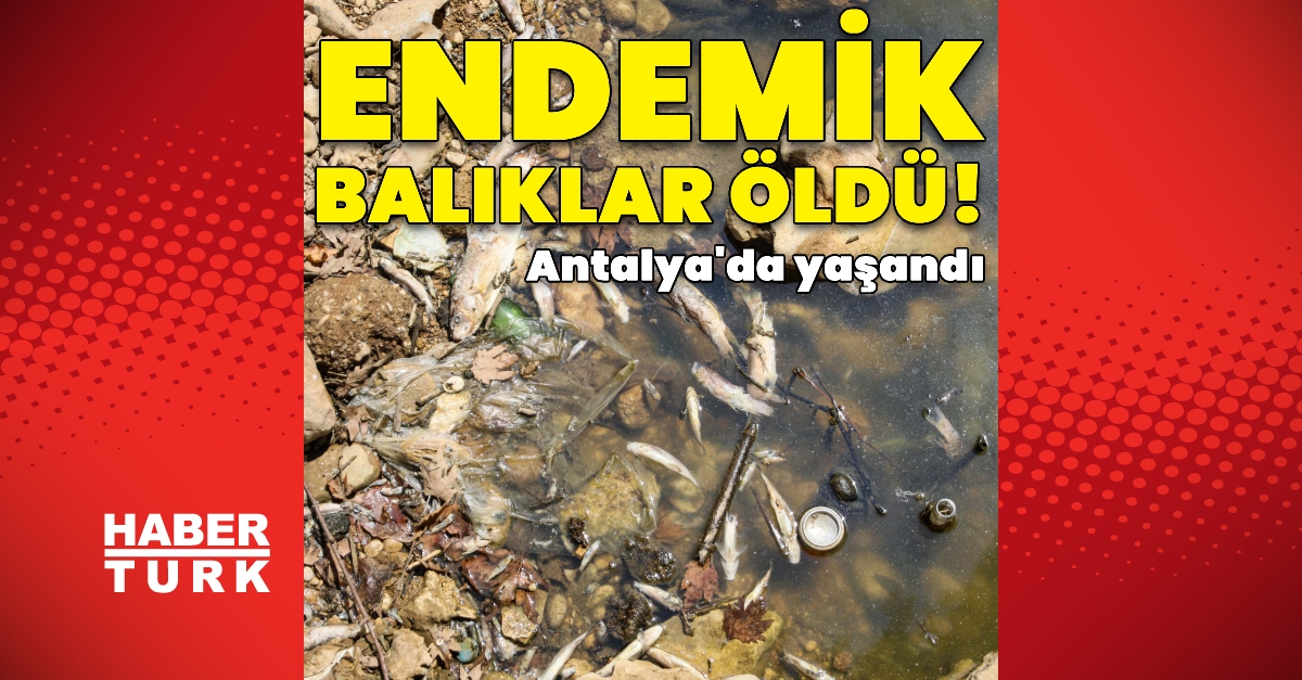 Oğul Dakika: Antalya’da Su Sviyesi Düzen DeRedeki Endemik Yüzlerce Baliek Öldü