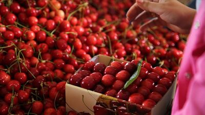 İstanbul'da fiyatı en çok artan ürün belli oldu