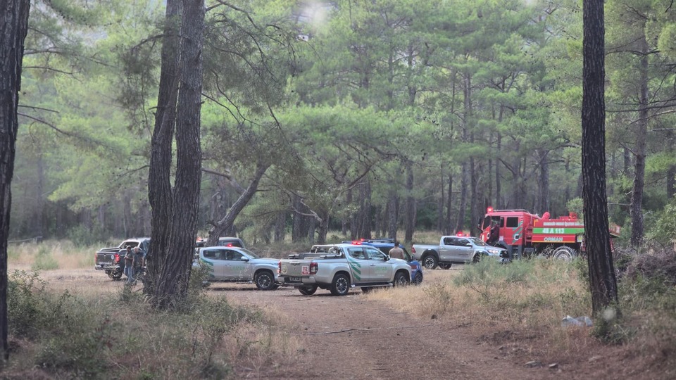 Marmaris'te orman yangını