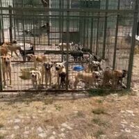 Açlıktan ve susuzluktan öldüler!