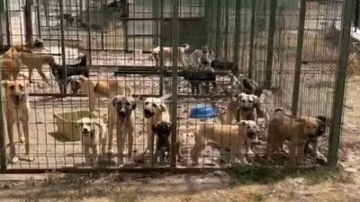 Açlıktan ve susuzluktan öldüler!