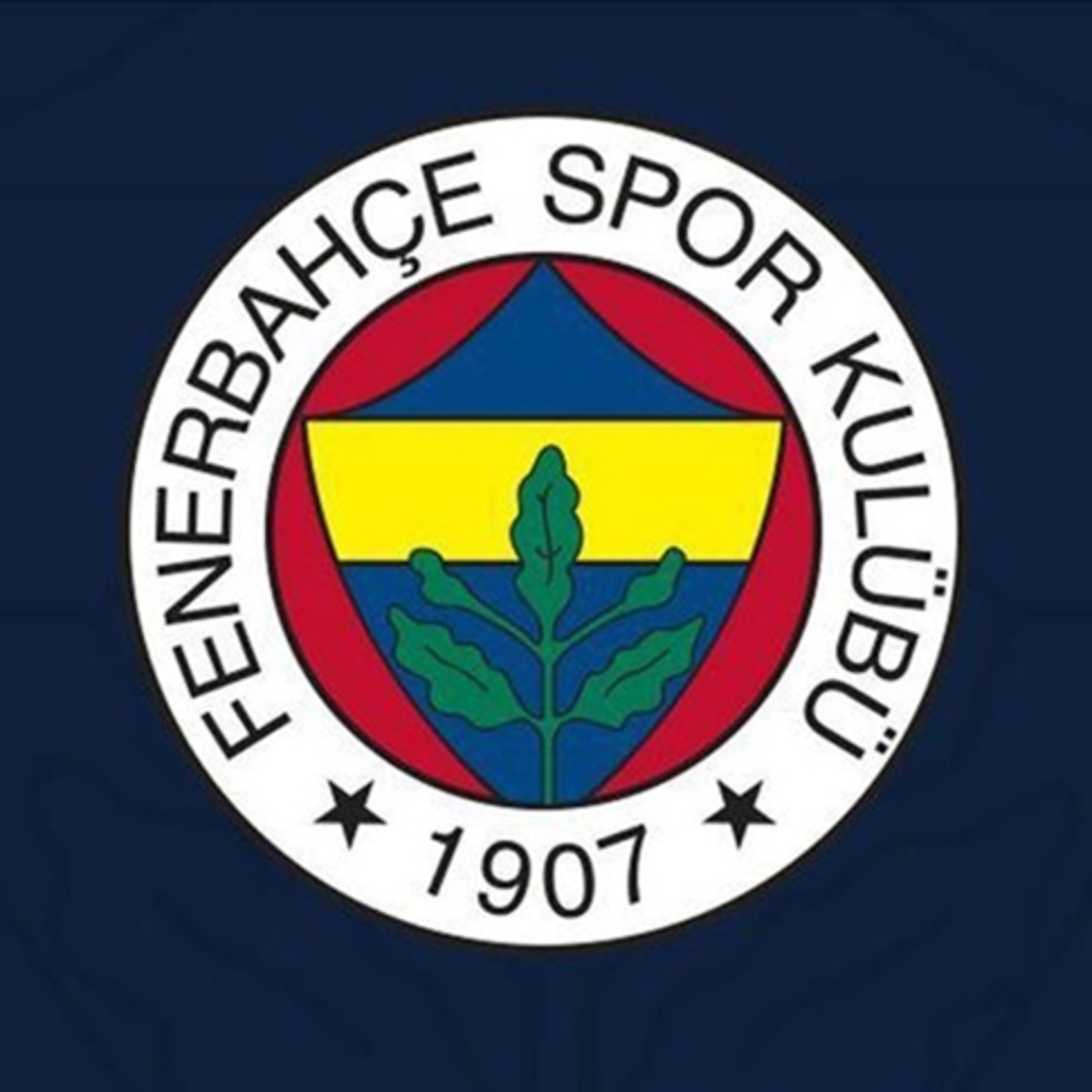 Temmuzda en fazla kazandıran kulüp Fenerbahçe