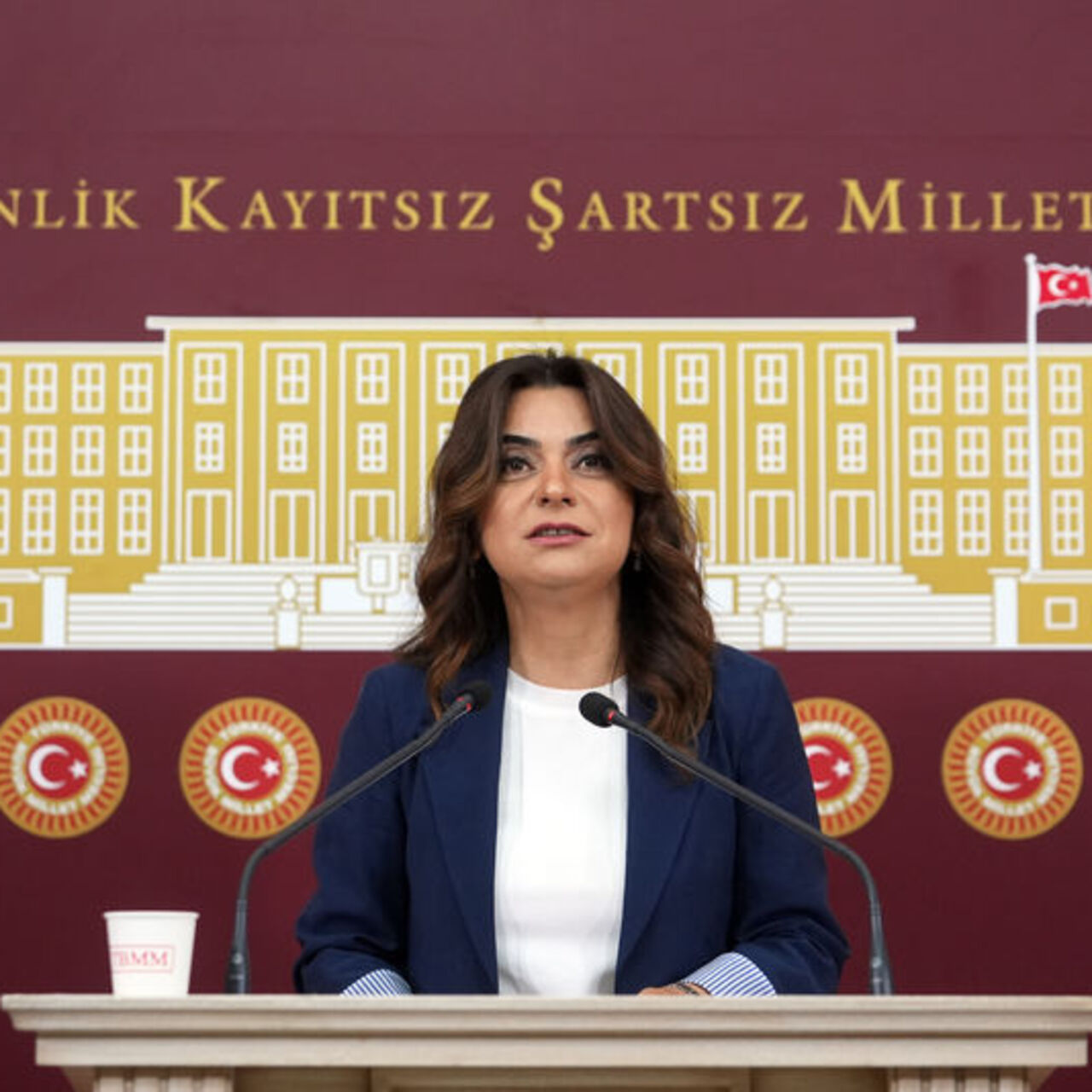 DEM Parti'den komisyon için 'demokrasi' önerisi