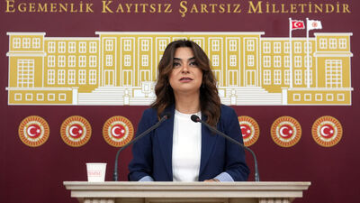 DEM Parti'den komisyon için 'demokrasi' önerisi