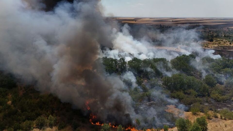 Kırklareli'nde ağaçlık alanda yangın!