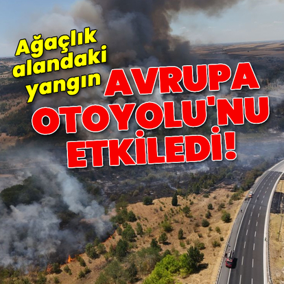 Kırklareli'nde ağaçlık alanda yangın!
