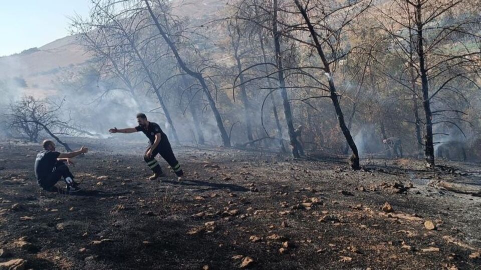 Şanlıurfa'da orman yangını çıktı