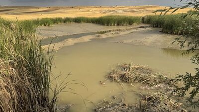 Gölete giren iki çocuk boğuldu
