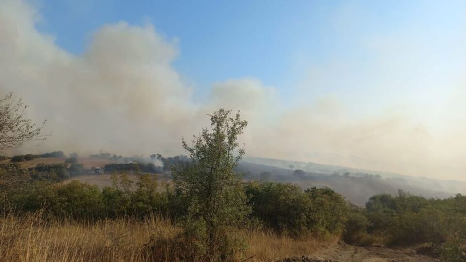 Balıkesir'deki arazi yangını kontrol altında