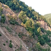 Minibüs uçuruma uçtu! Can kayıpları var!