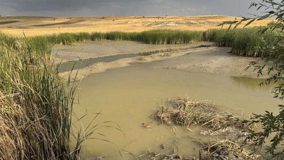 Gölette facia! Bataklığa battılar!
