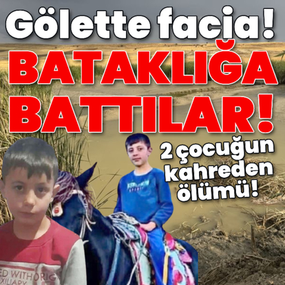 Gölette facia! Bataklığa battılar!
