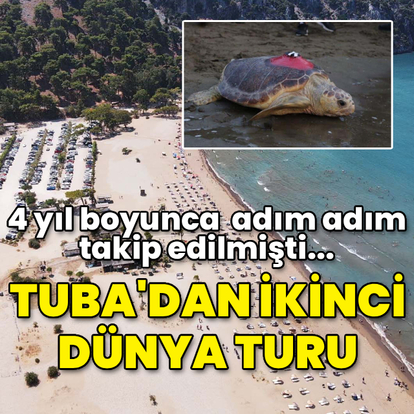 Caretta 'Tuba'dan ikinci dünya turu!