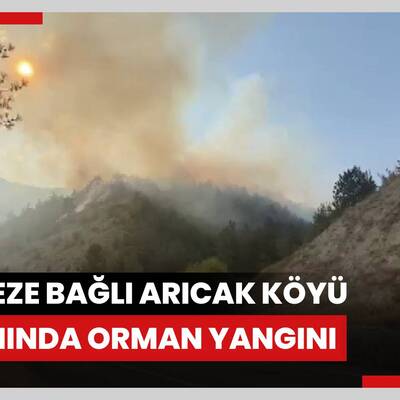 Merkeze bağlı Arıcak Köyü yakınında orman yangını
