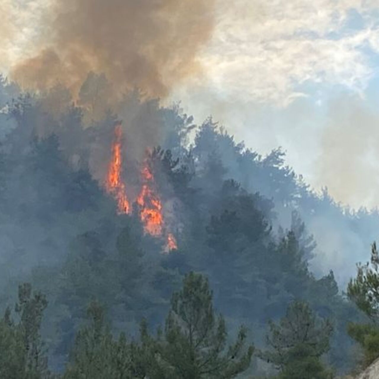 Karabük’te ve Denizli'de orman yangını

