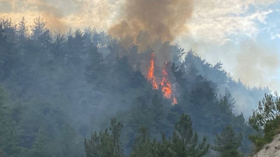 Karabük'te ve Denizli'de orman yangını