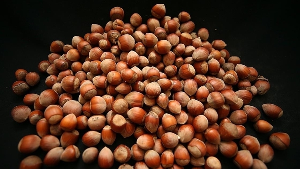 TMO, fındık alım fiyatlarını açıkladı