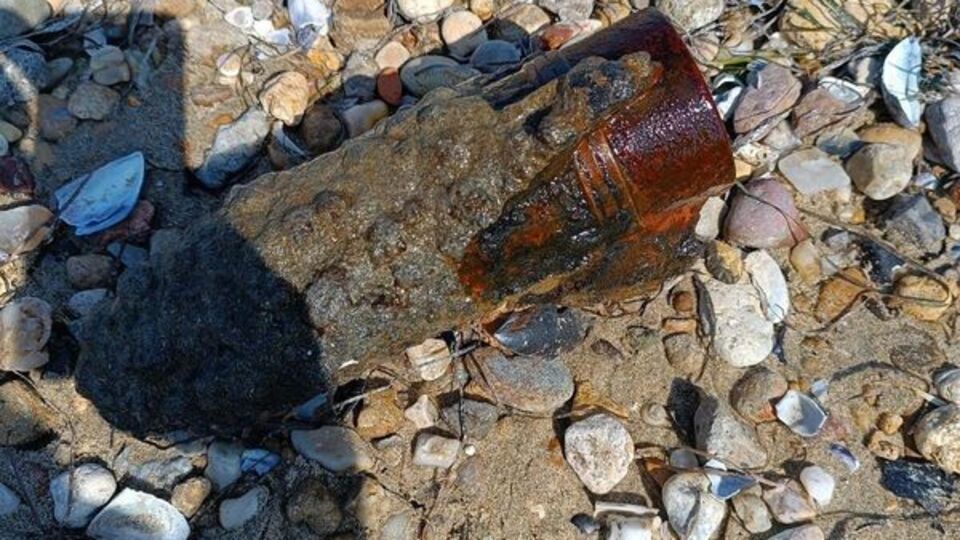 Çanakkale'de sahilde bulundu! Yetkililer devreye girdi