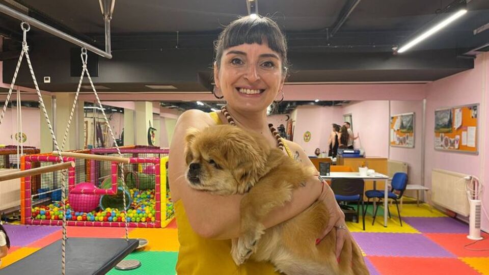 Sokağa atılan görme engelli köpek 'Yoshi'ye yeni yuva