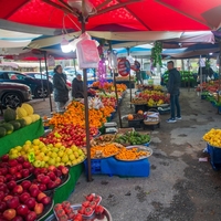 Elma, armut ve ayva cep yakacak