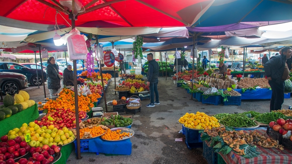Elma, armut ve ayva cep yakacak