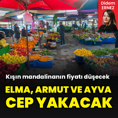 Elma, armut ve ayva cep yakacak