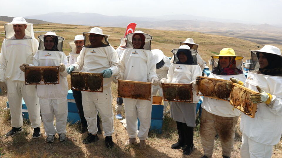 Vali Koç, kadın arıcılarla bal hasadı yaptı