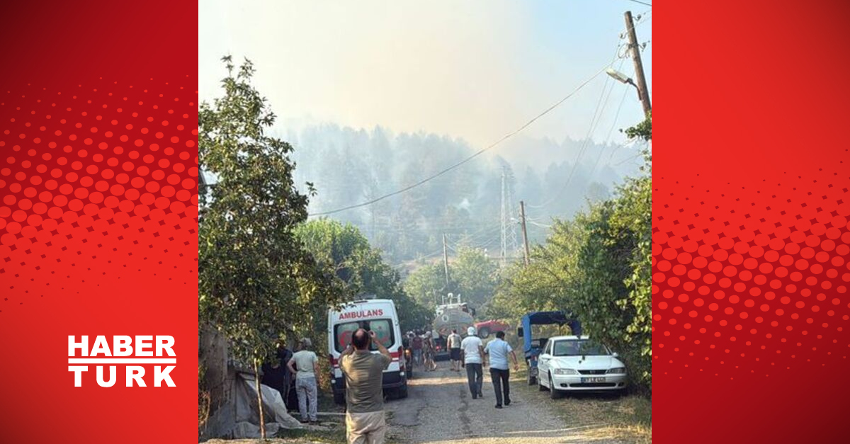 BARTIN’DA ORMAN YANGINES | Oğlu Dakika Haberleri