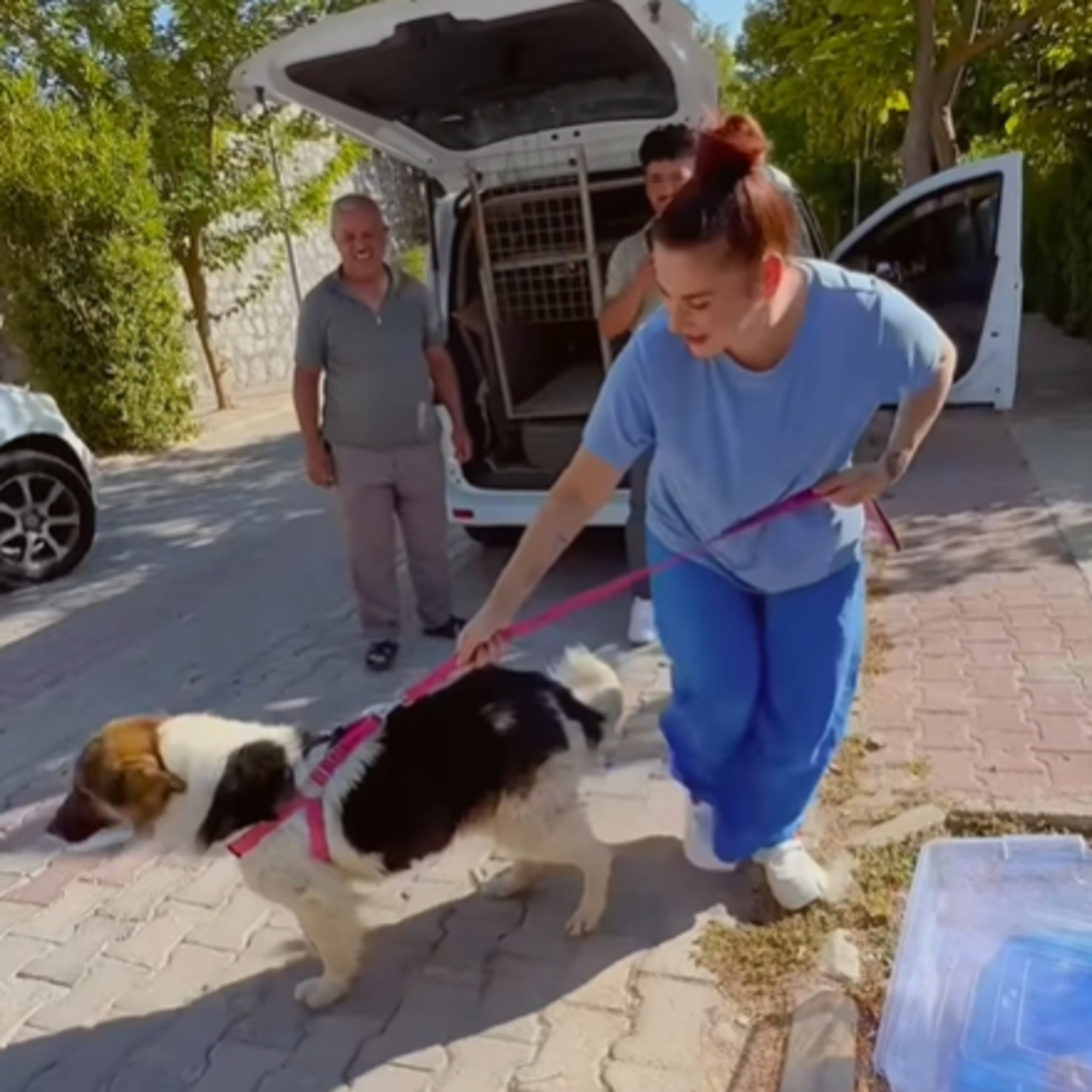 'Sadık köpek', Ceylan Ertem'e emanet edildi