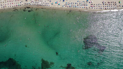 Kapıdağ Yarımadası nerede?
