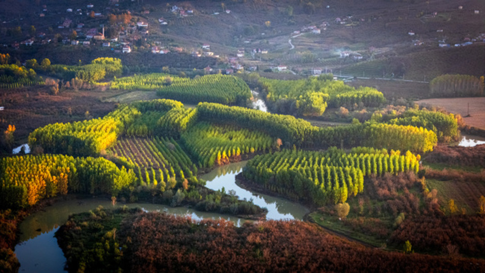 Melen Çayı nerede?