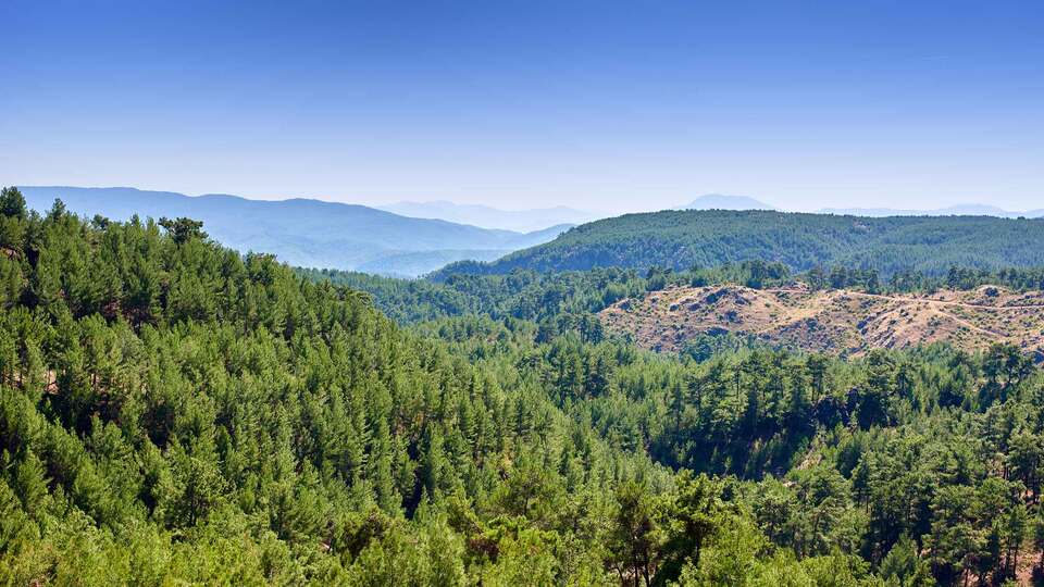 1.4 milyonluk ağaçlandırma seferberliği