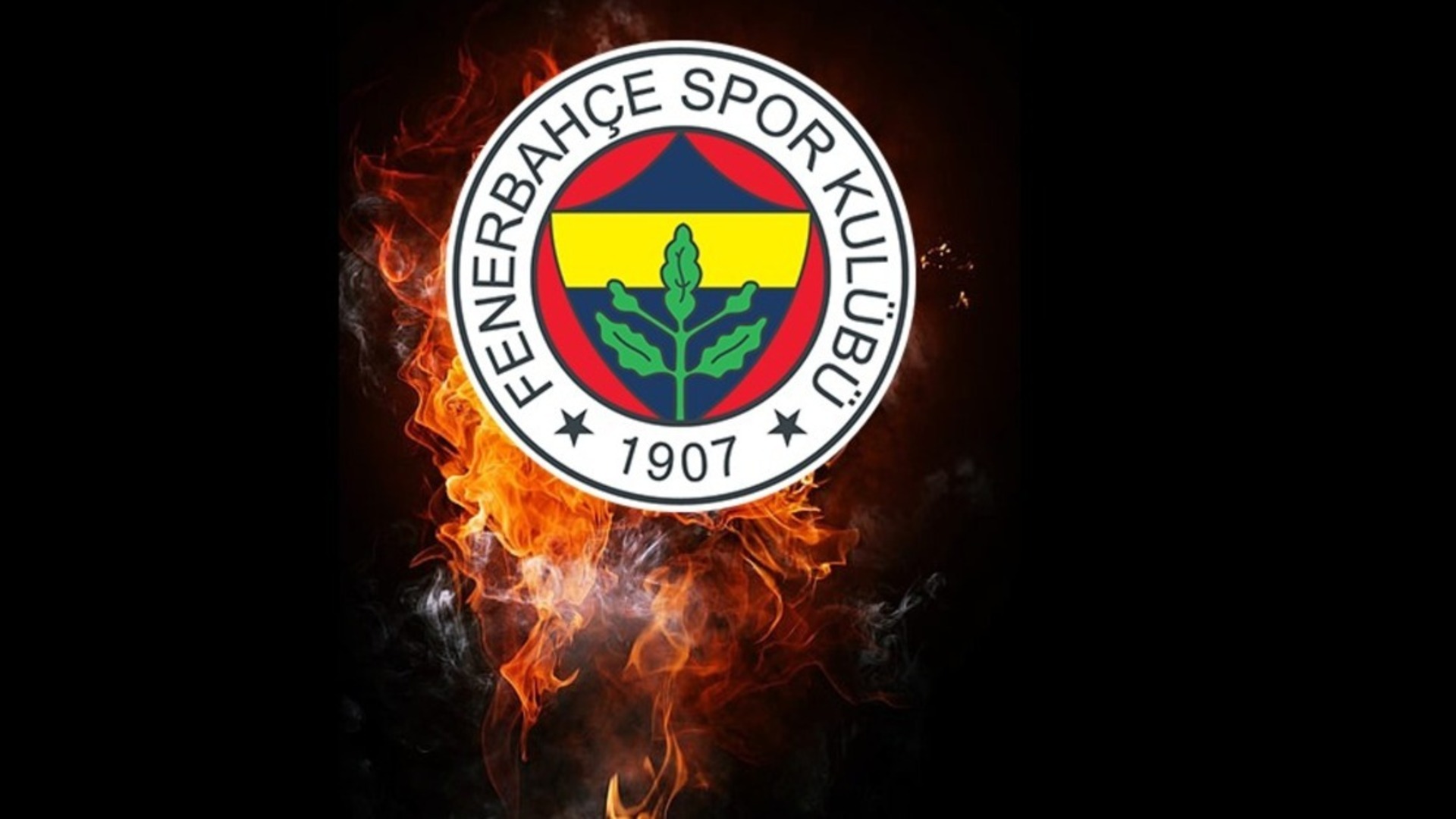 Fenerbahçe'den Şok Hamle: Dev Sermaye Artırımı Başvurusu Yapıldı!