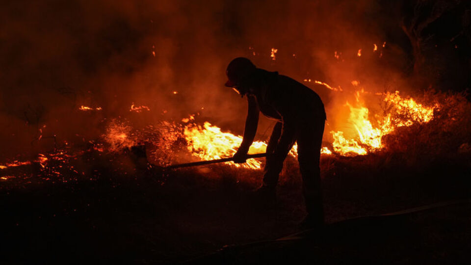 Otlukta başlayan yangın ormana sıçradı